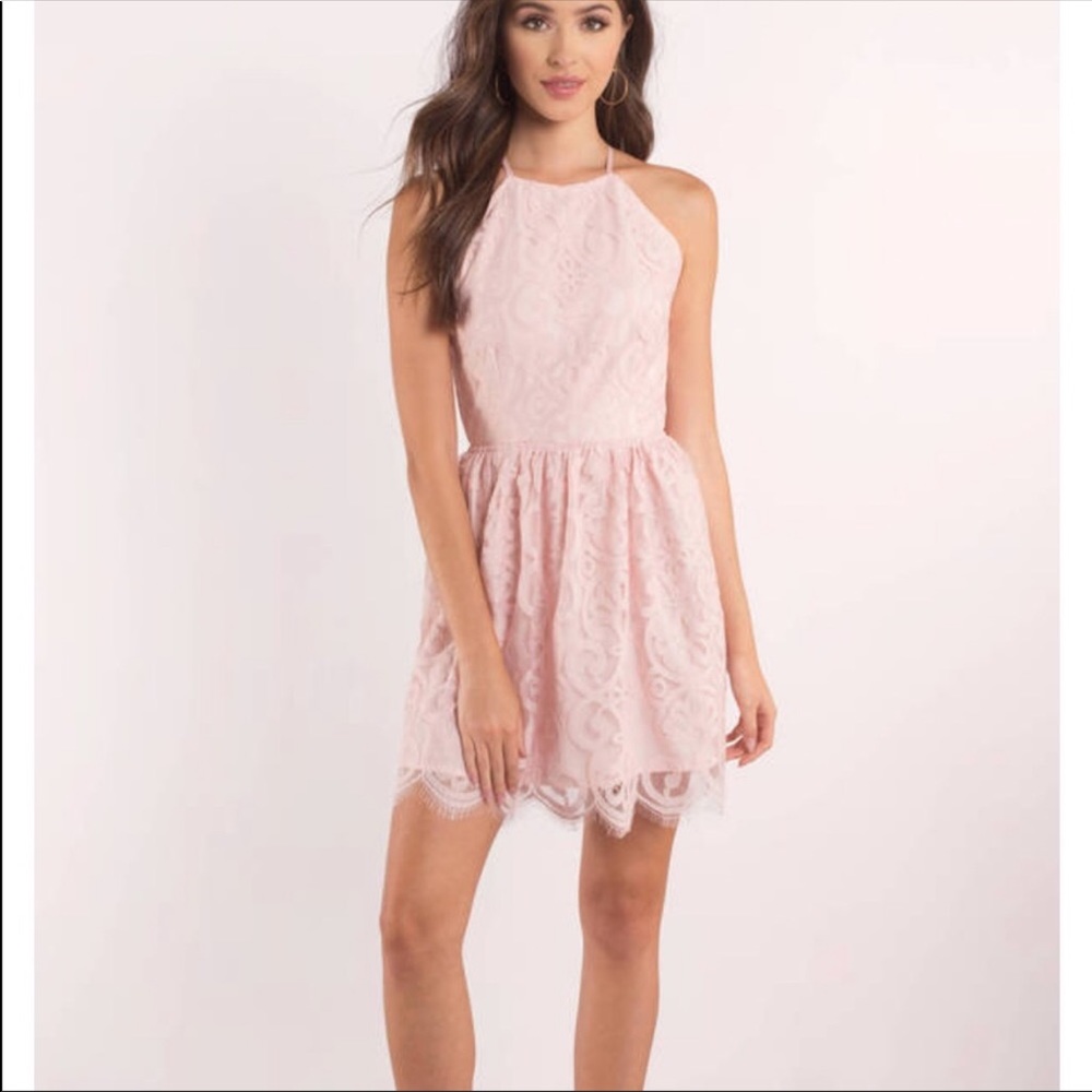 Pink Tobi Skater dress